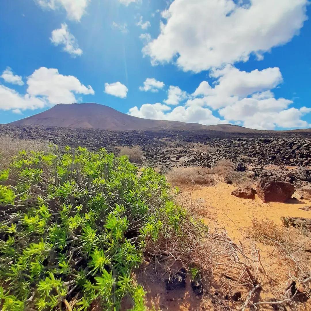 Casa Alma Corralejo Bristol Lejlighed Eksteriør billede